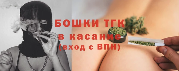 apvp Богородск